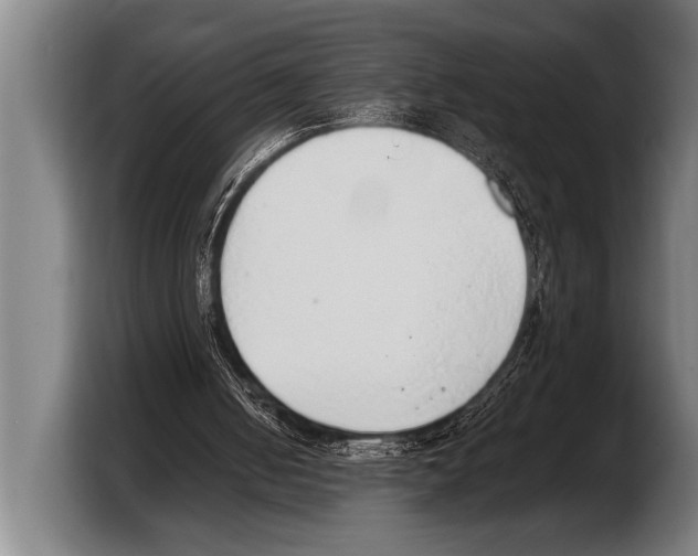 X0000103330050200810061023