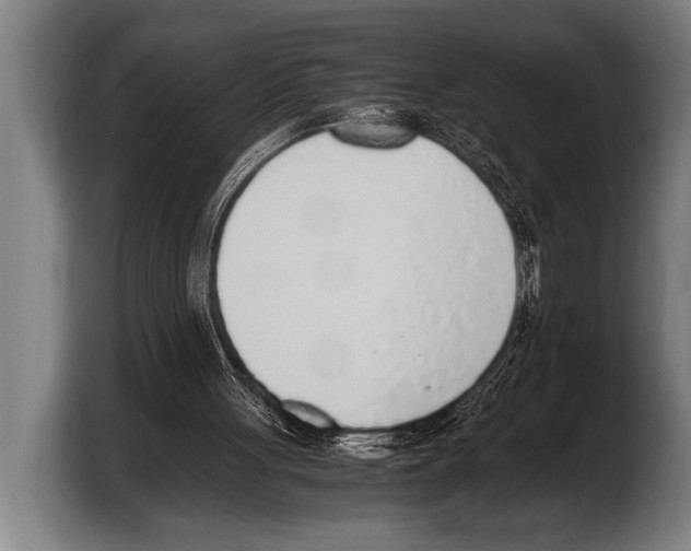 X0000103330051200810061023