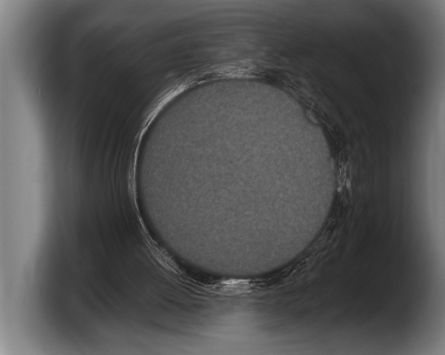 X0000103330052200810061023