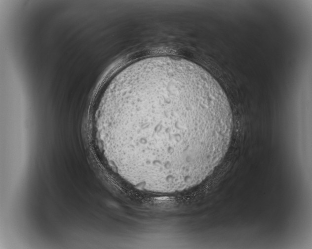 X0000103330053200810061023