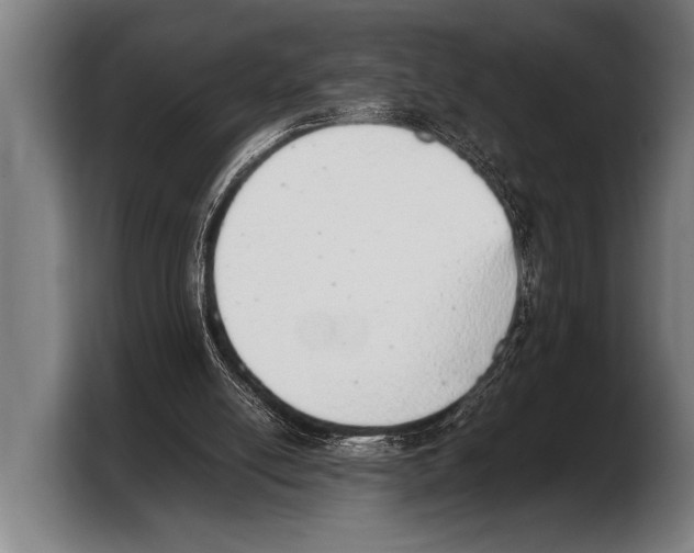 X0000103330054200810061023