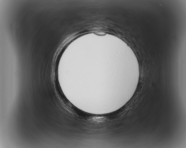 X0000103330055200810061023