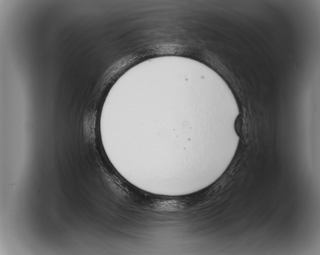 X0000103330058200810061023