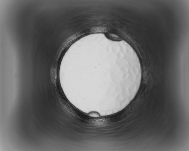 X0000103330059200810061023