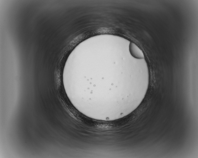 X0000103330061200810061023