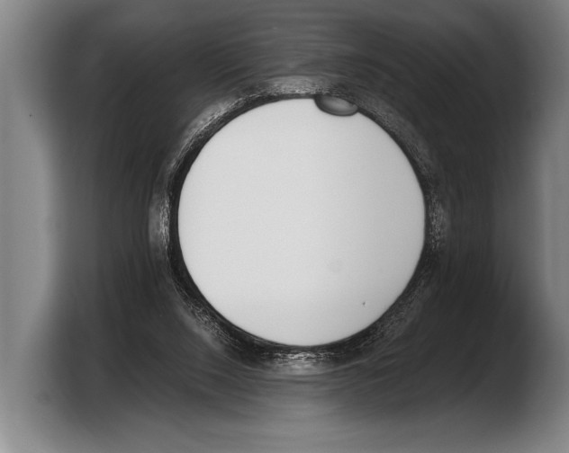 X0000103330064200810061023