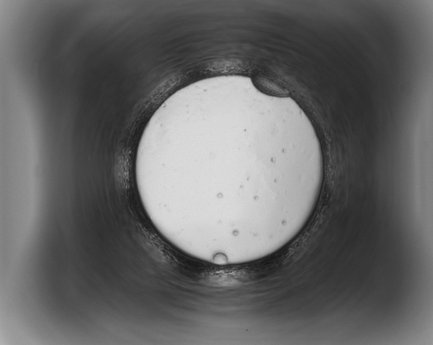 X0000103330065200810061023