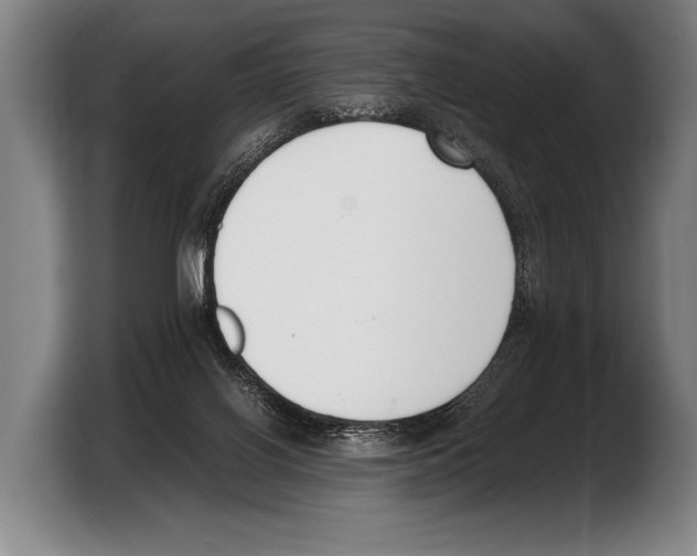 X0000103330070200810061023