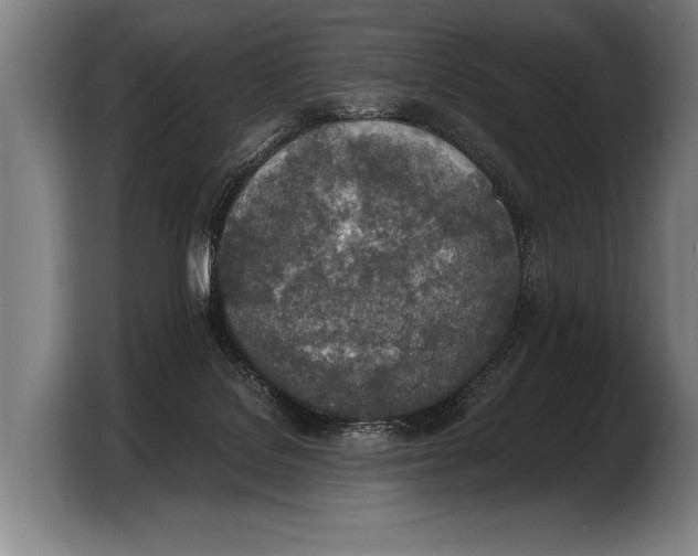 X0000103330076200810061023