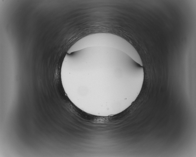 X0000103330084200810061023