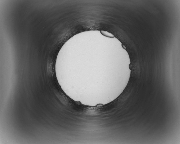 X0000103330088200810061023