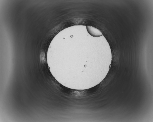 X0000103330089200810061023