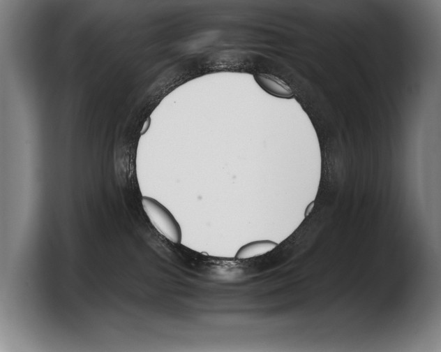 X0000103330091200810061023