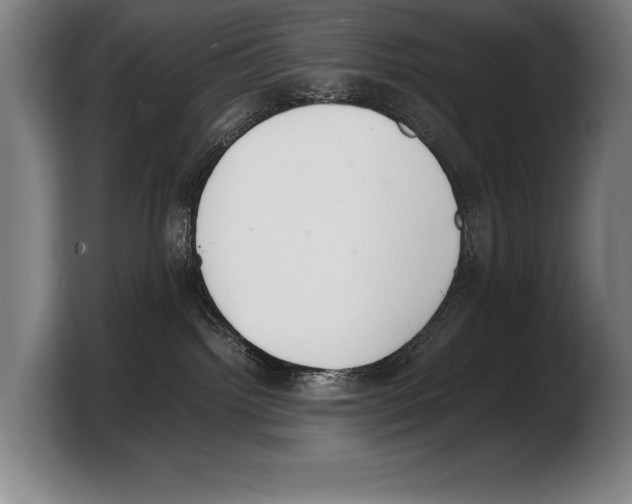 X0000103330092200810061023