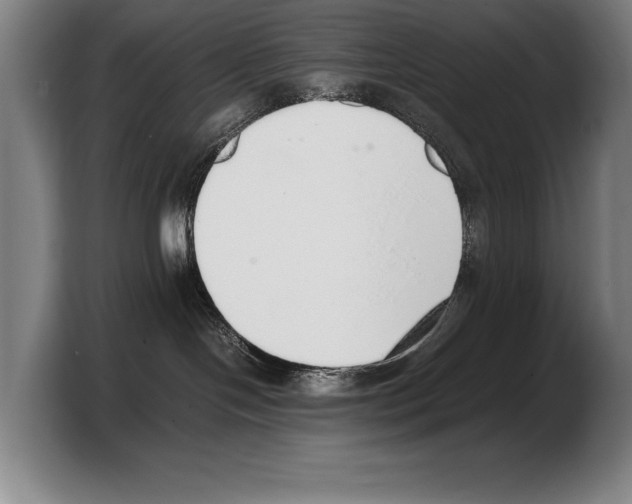 X0000103330094200810061023