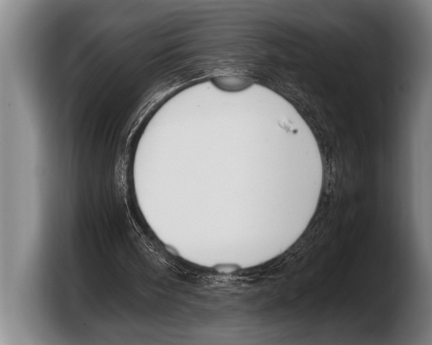 X0000103330098200810061023