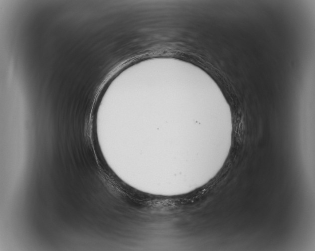 X0000103330100200810061022