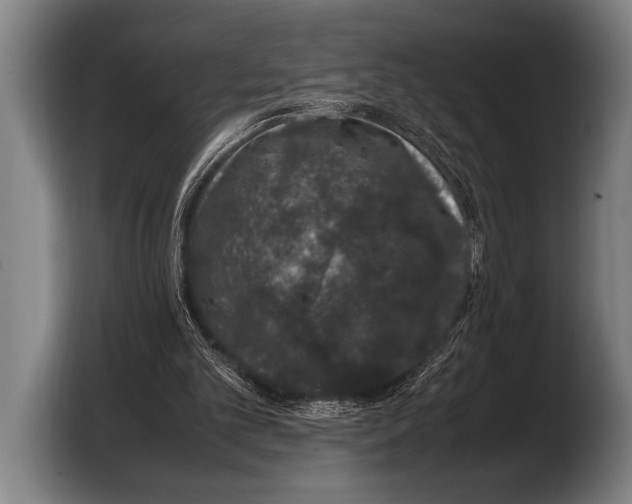 X0000103330101200810061022