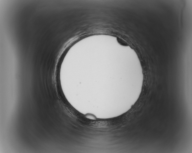 X0000103330104200810061022