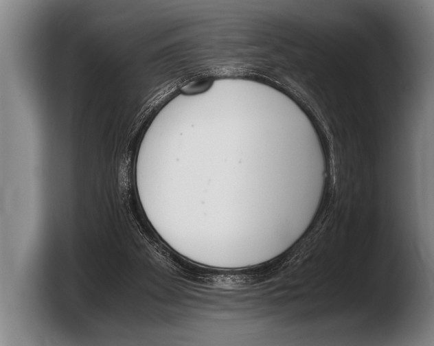 X0000103330105200810061022