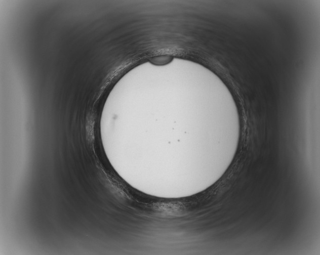 X0000103330106200810061022