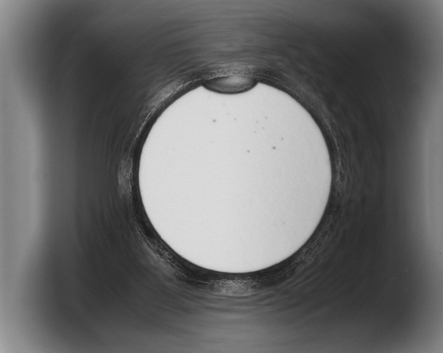 X0000103330107200810061022