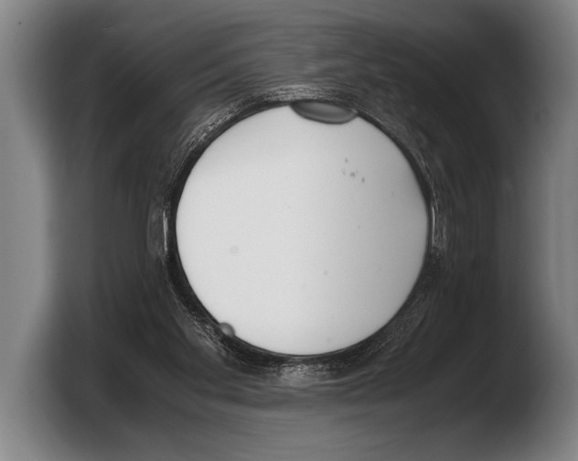 X0000103330109200810061022