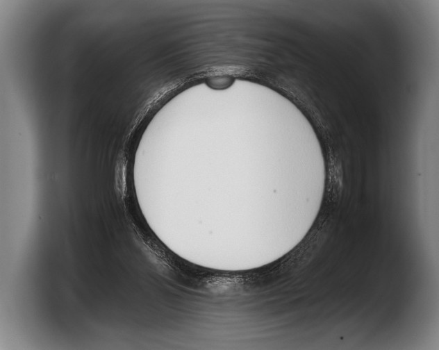 X0000103330110200810061022