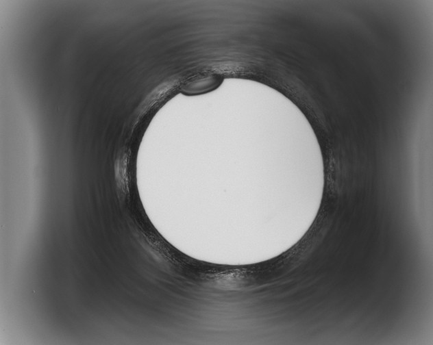 X0000103330116200810061022