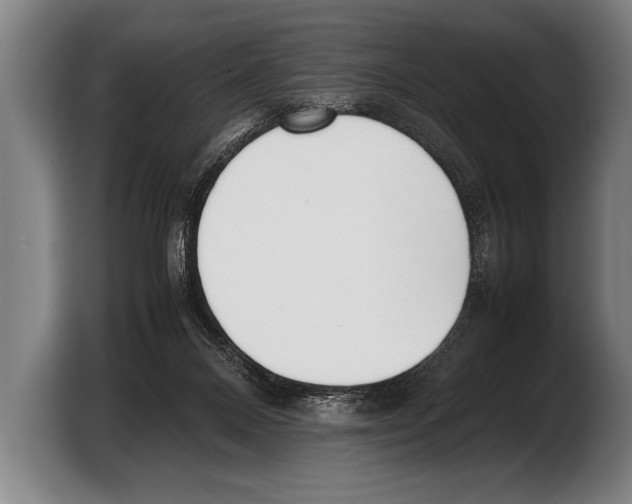 X0000103330120200810061022