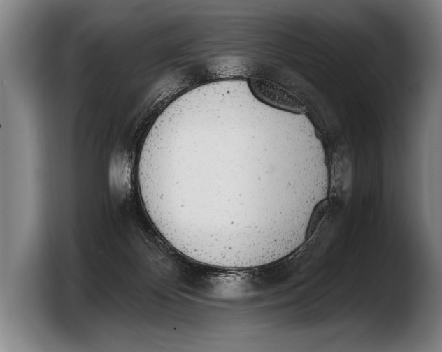 X0000103330124200810061022