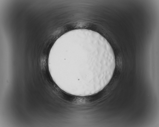 X0000103330127200810061022