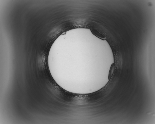 X0000103330128200810061022