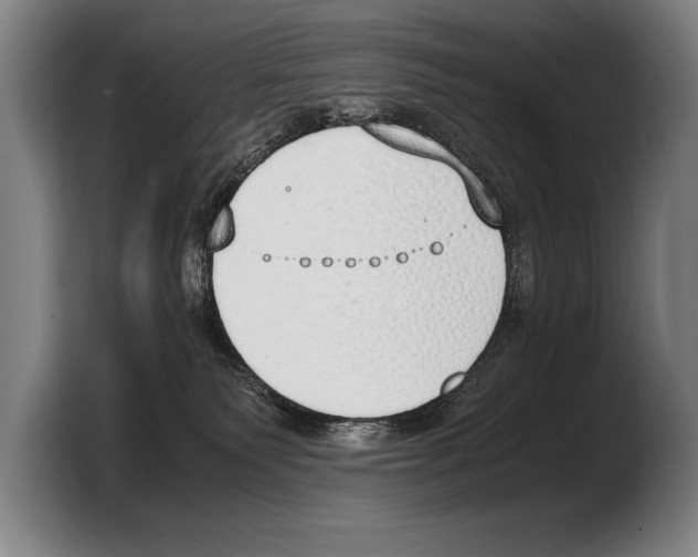 X0000103330135200810061022