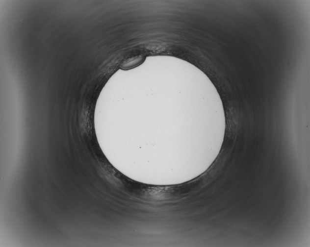 X0000103330136200810061022