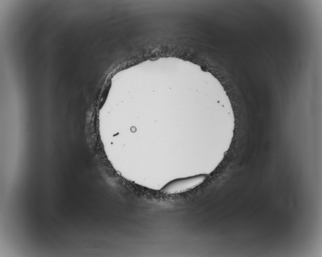 X0000103330144200810061022