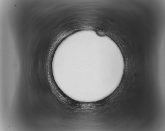 X0000103330145200810061021