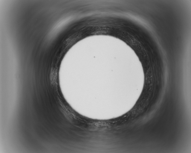 X0000103330146200810061021