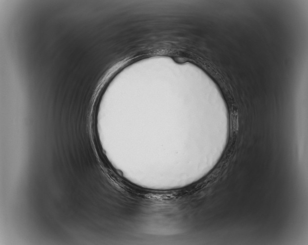 X0000103330147200810061021