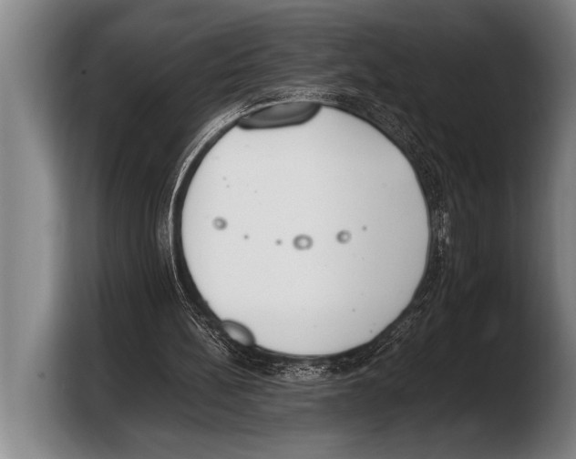 X0000103330148200810061021