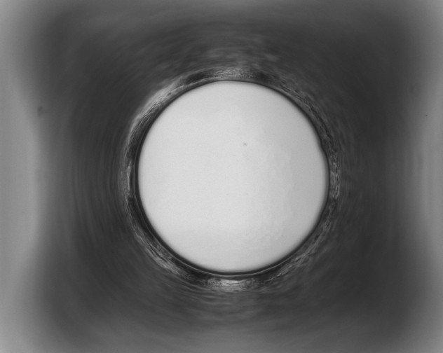 X0000103330149200810061021