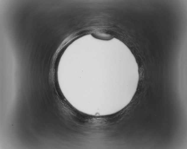 X0000103330150200810061021