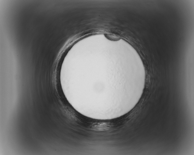 X0000103330151200810061021