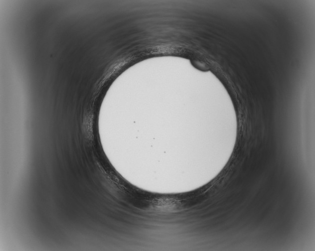 X0000103330154200810061021