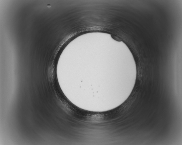 X0000103330156200810061021