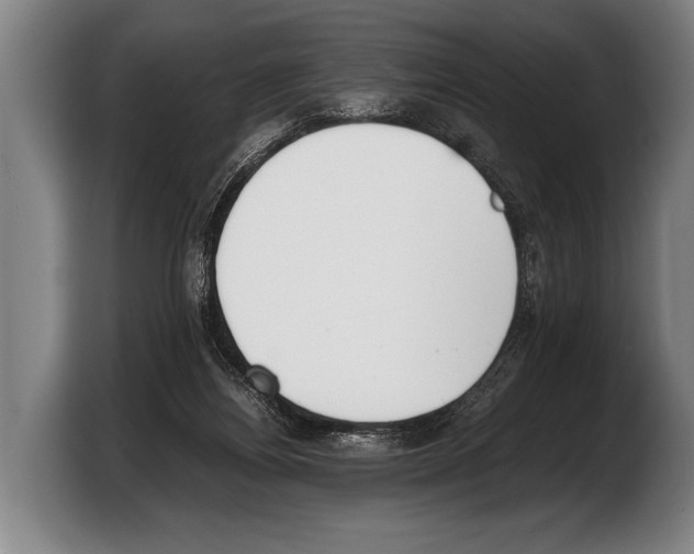 X0000103330164200810061022