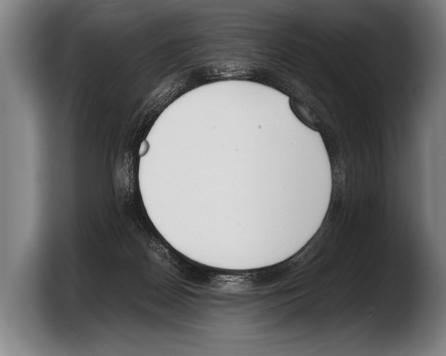 X0000103330170200810061022