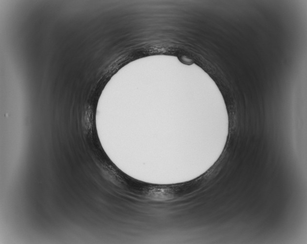 X0000103330174200810061022