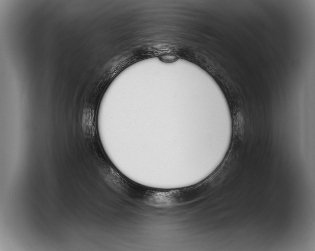 X0000103330178200810061022