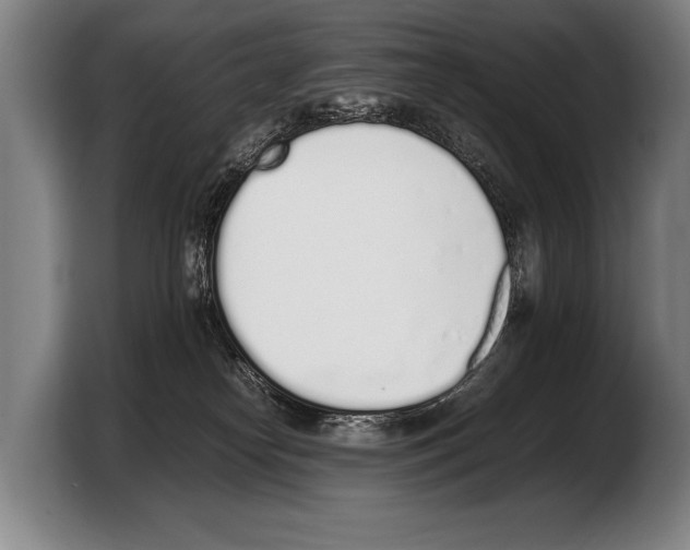 X0000103330182200810061022